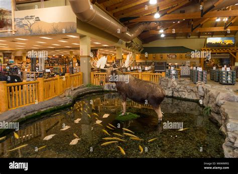 Cabela's hamburg - Location. 208 reviews and 350 photos of Cabela's "This is a store to be experienced. It's almost an attraction, rather than a place to shop.First …